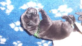 20140908_004218.jpg