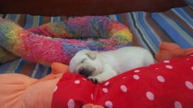 20140922_100621.jpg