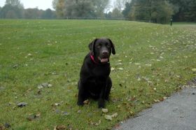 willy loos 2008 053.jpg